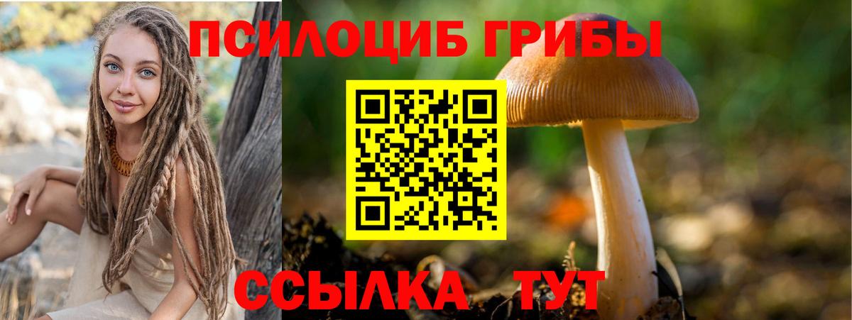 Псилоцибиновые грибы мухоморы  Псилоцибиновые грибы мицелий  Вход с VPN  Электросталь 